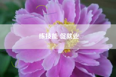 练技能 促就业