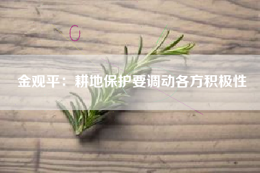 金观平：耕地保护要调动各方积极性