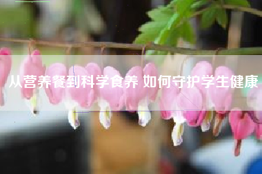 从营养餐到科学食养 如何守护学生健康