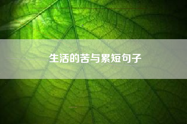 生活的苦与累短句子