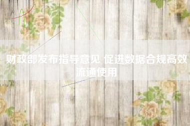 财政部发布指导意见 促进数据合规高效流通使用