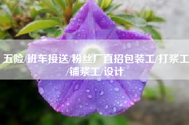 五险/班车接送/粉丝厂直招包装工/打浆工/铺浆工/设计