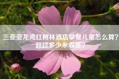 三亚亚龙湾红树林酒店早餐儿童怎么算？超过多少米收费？