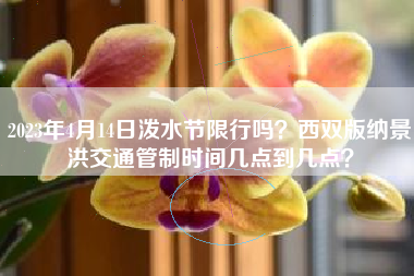 2023年4月14日泼水节限行吗？西双版纳景洪交通管制时间几点到几点？