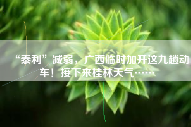 “泰利”减弱，广西临时加开这九趟动车！接下来桂林天气……