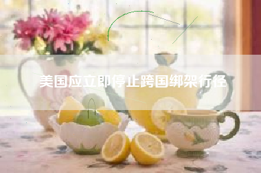 美国应立即停止跨国绑架行径
