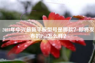 2023年中兴最新平板型号是哪款？即将发布的Pad怎么样？