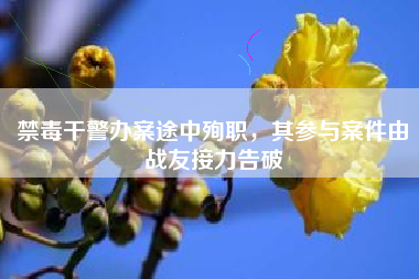 禁毒干警办案途中殉职，其参与案件由战友接力告破