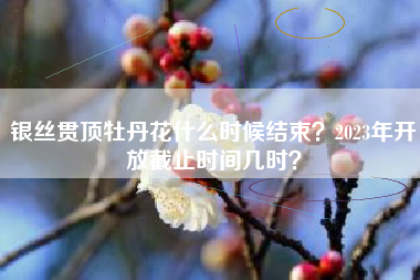 银丝贯顶牡丹花什么时候结束?2023年开放截止时间几时?