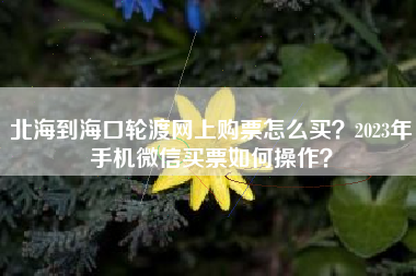 北海到海口轮渡网上购票怎么买？2023年手机微信买票如何操作？