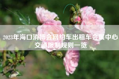 2023年海口消博会网约车出租车会展中心交通限制规则一览