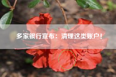 多家银行宣布：清理这类账户！