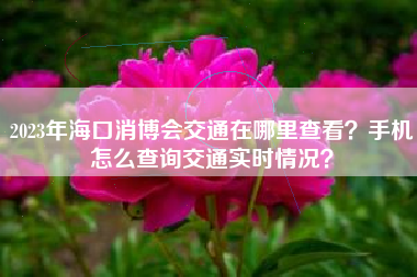 2023年海口消博会交通在哪里查看？手机怎么查询交通实时情况？