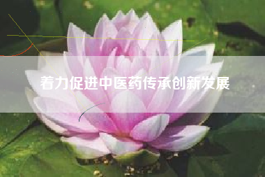 着力促进中医药传承创新发展