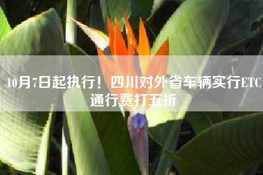 10月7日起执行！四川对外省车辆实行ETC通行费打五折