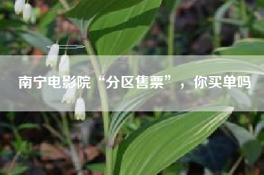 南宁电影院“分区售票”，你买单吗