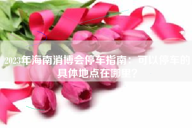 2023年海南消博会停车指南：可以停车的具体地点在哪里？