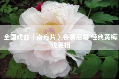 全国戏曲（南方片）会演启幕 经典黄梅戏亮相