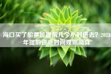海口买了船票能提前几个小时进去？2023年提前进港时间规则简介