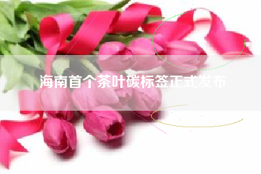 海南首个茶叶碳标签正式发布