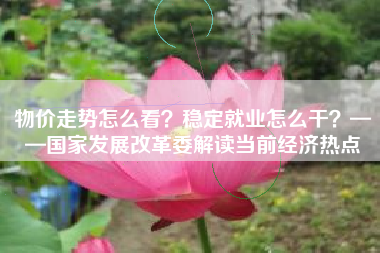 物价走势怎么看？稳定就业怎么干？——国家发展改革委解读当前经济热点