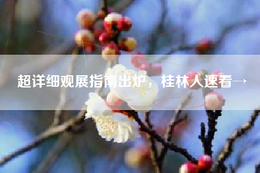 超详细观展指南出炉，桂林人速看→