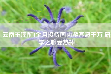 云南玉溪前4个月接待国内游客超千万 研学之旅受热捧
