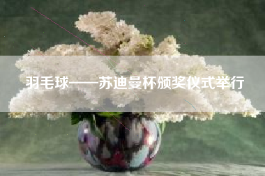 羽毛球——苏迪曼杯颁奖仪式举行