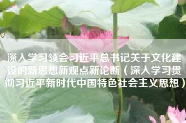深入学习领会习近平总书记关于文化建设的新思想新观点新论断（深入学习贯彻习近平新时代中国特色社会主义思想）