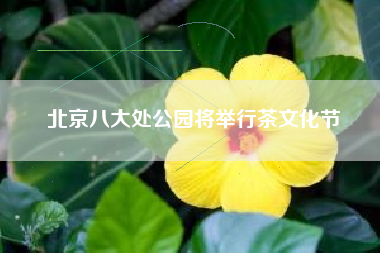 北京八大处公园将举行茶文化节