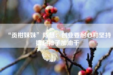“贡柑妹妹”陈慧：创业要耐心和坚持 撸起袖子加油干
