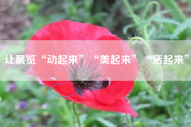 让展览“动起来”“美起来”“活起来”