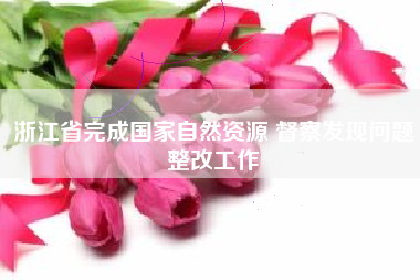 浙江省完成国家自然资源 督察发现问题整改工作
