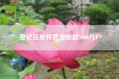 登记在册民营企业超5000万户