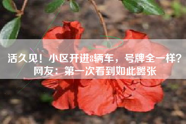 活久见！小区开进8辆车，号牌全一样？网友：第一次看到如此嚣张