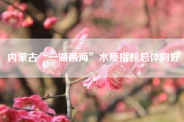 内蒙古“一湖两海”水质指标总体向好
