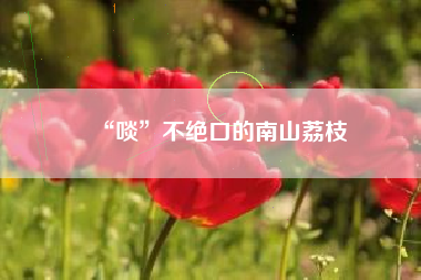 “啖”不绝口的南山荔枝