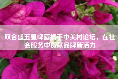双合盛五星啤酒携手中关村论坛，在社会服务中贡献品牌新活力