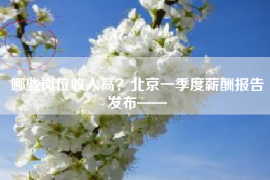 哪些岗位收入高？北京一季度薪酬报告发布——