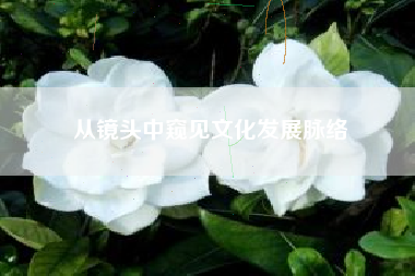 从镜头中窥见文化发展脉络