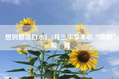 想到都流口水！5月三华李丰收“称霸”酸嘢摊