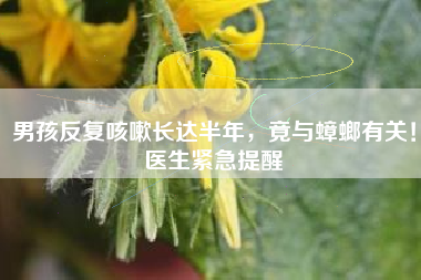 男孩反复咳嗽长达半年，竟与蟑螂有关！医生紧急提醒