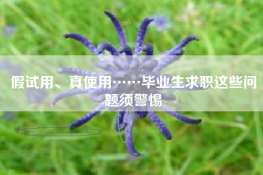 假试用、真使用……毕业生求职这些问题须警惕