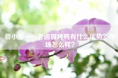 蓉小香——老卤冒烤鸭有什么优势？市场怎么样？