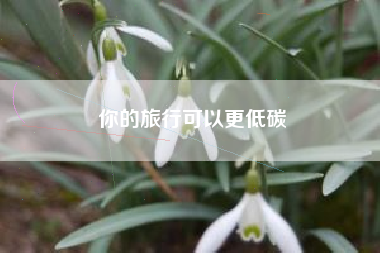 你的旅行可以更低碳
