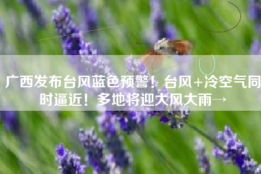 广西发布台风蓝色预警！台风+冷空气同时逼近！多地将迎大风大雨→