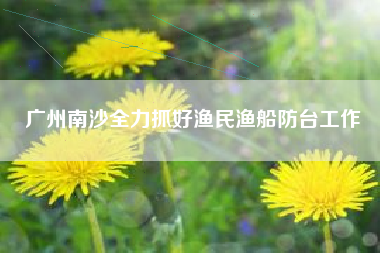 广州南沙全力抓好渔民渔船防台工作