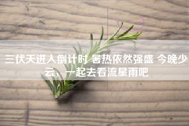 三伏天进入倒计时 暑热依然强盛 今晚少云，一起去看流星雨吧