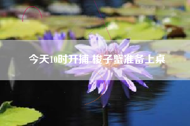 今天10时开捕 梭子蟹准备上桌