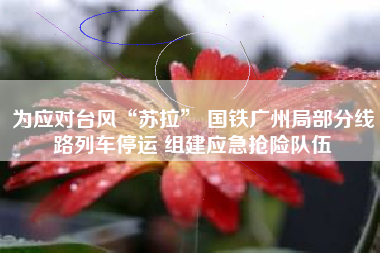 为应对台风“苏拉” 国铁广州局部分线路列车停运 组建应急抢险队伍
